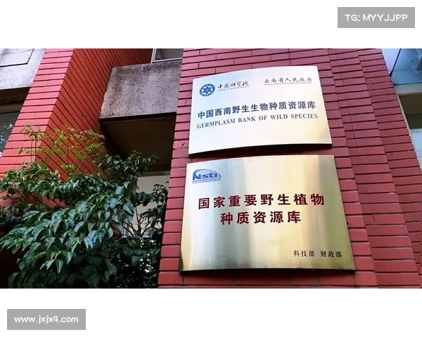 提高高地红石榴产量的有效措施及科学管理方法研究 提高高地红石榴产量的有效措施及科学管理方法研究